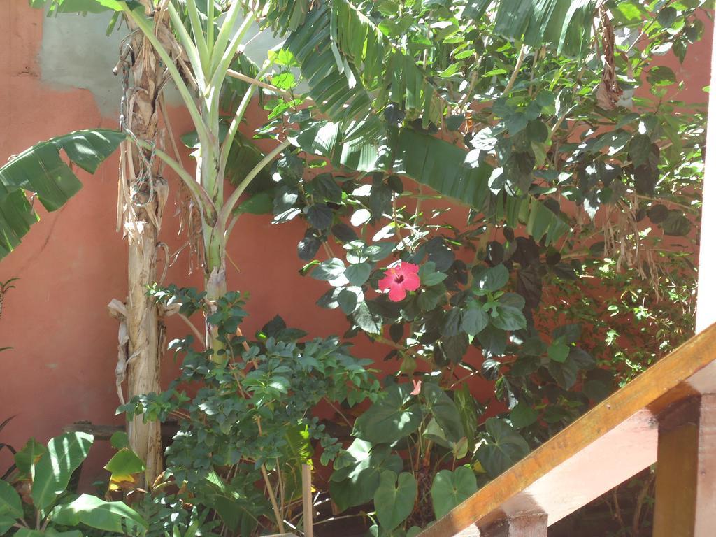 Flores De Suítes Pensión *